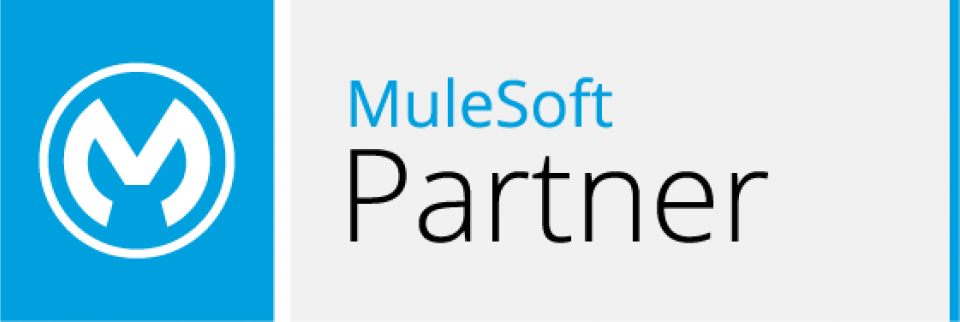 Mulesoft partner 1